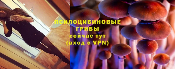 молекула духа Куйбышев