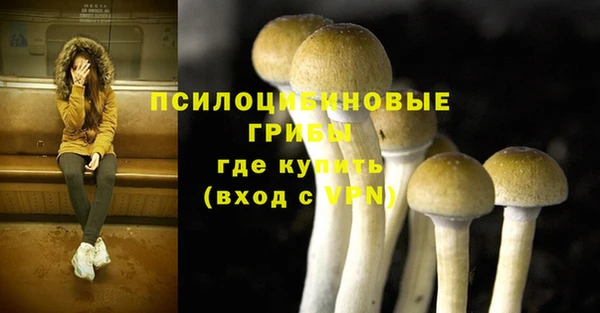 молекула духа Куйбышев