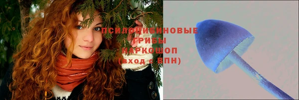 молекула духа Куйбышев